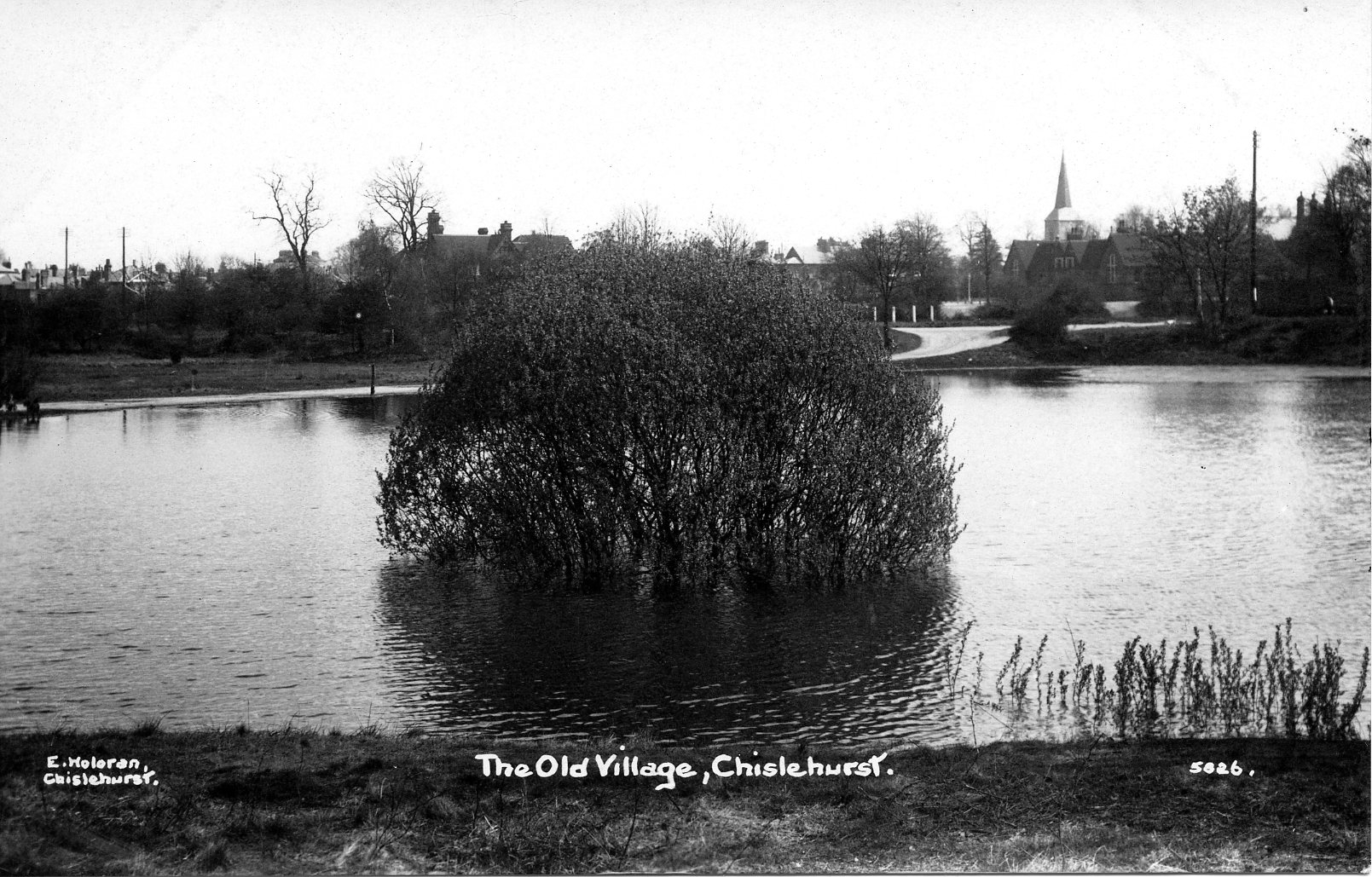 Overflow Pond Chislehurst Society